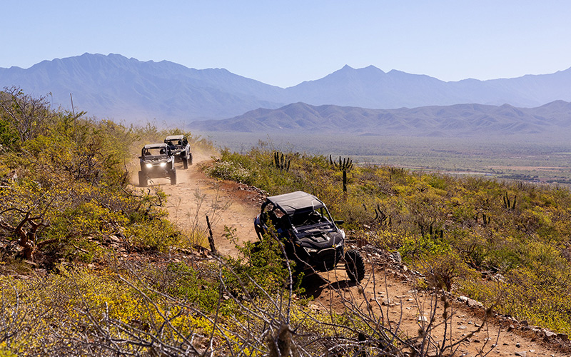 Side by Side Tours in Todos Santos