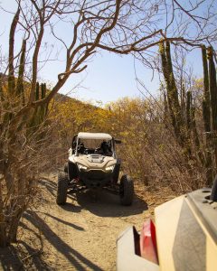 Family friendly activities Cabo