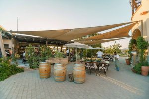 Coolest Day Trips from Cabo