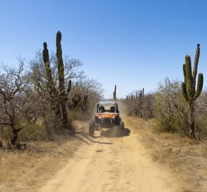 Best Off Roading Trails Baja