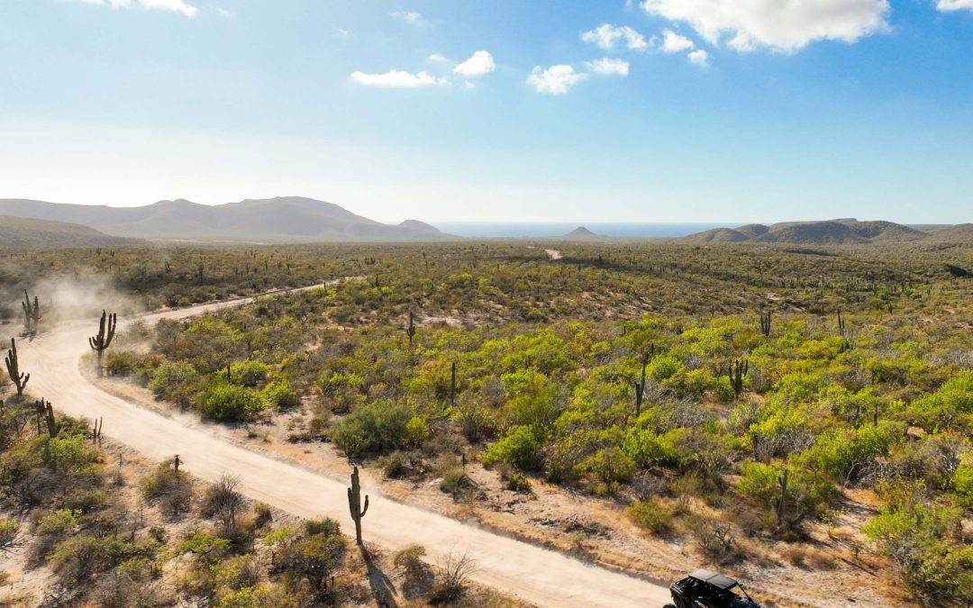 From La Paz to the Pacific: Finding the Best Off-Road Trails Near Todos Santos
