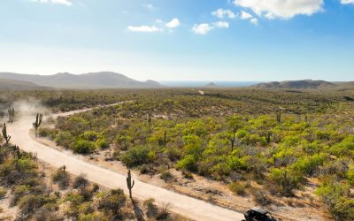 From La Paz to the Pacific: Finding the Best Off-Road Trails Near Todos Santos
