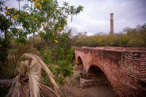 The historic town of El Triunfo in Baja, Mexico.
