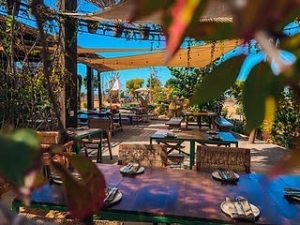 Where to Eat Near Me Todos Santos