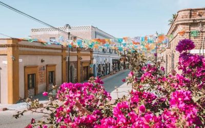 Is Todos Santos Safe for Tourists? Why It’s One of Baja’s Best Family Vacation Destinations