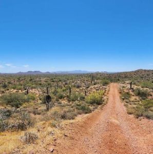 Best Off Roading Trails in Wickenburg
