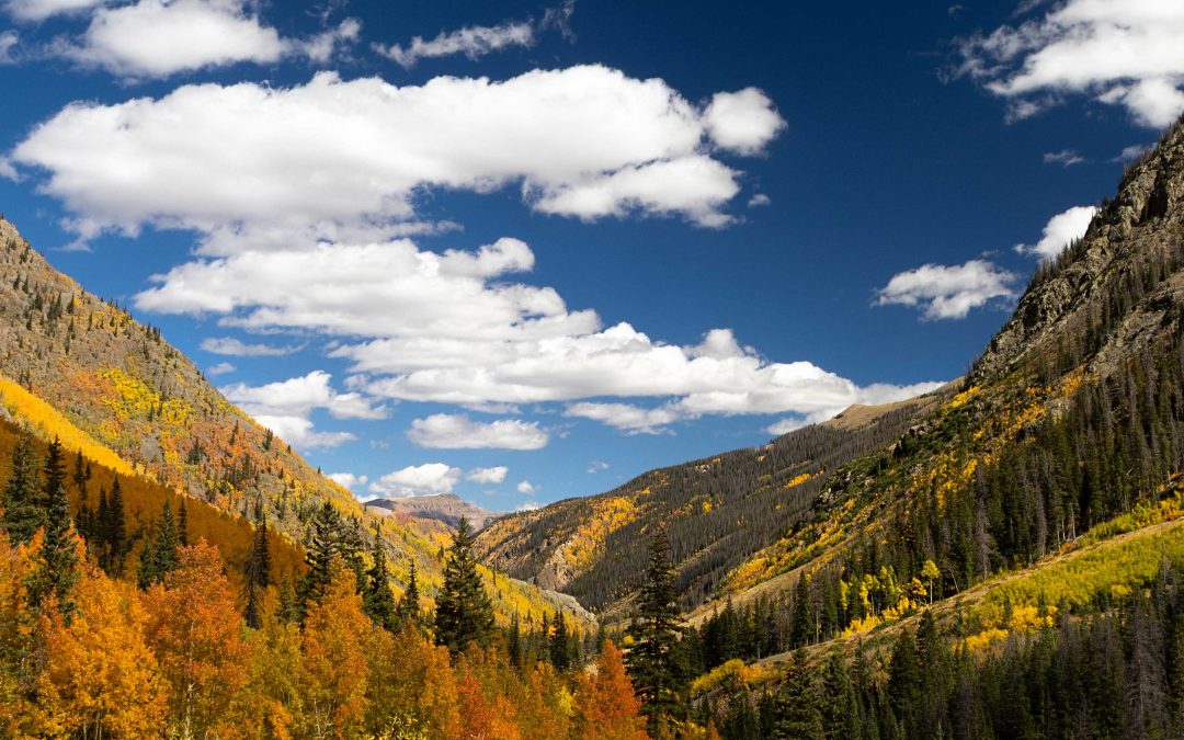 The Best Lodging Options for a Fall Trip to Southwest Colorado