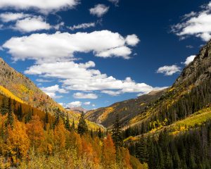 Peak fall colors in Southwestern Colorado