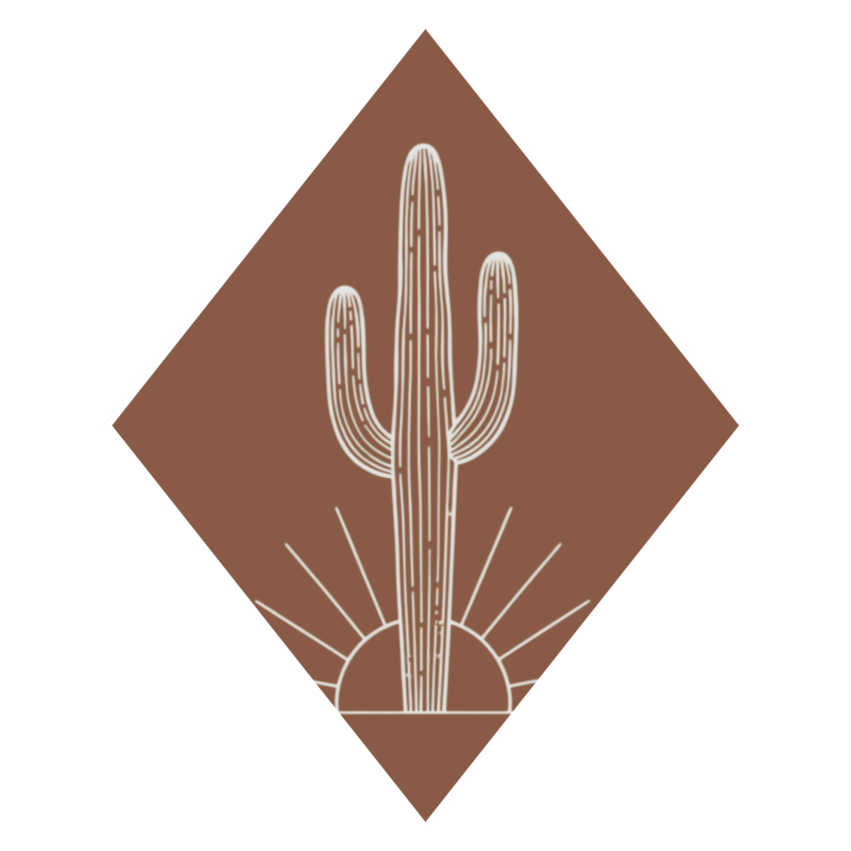 Baja Rock Pirates Icon