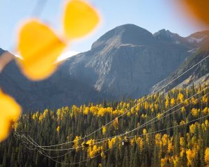 Near Silverton, Colorado in peak fall colors