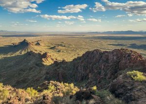 is Wickenburg the best small town in Arizona?