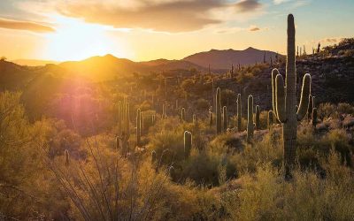 Best Day Trips from Phoenix: 10 Arizona Adventures Worth the Drive