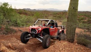 Family Friendly Activities Arizona Fall
