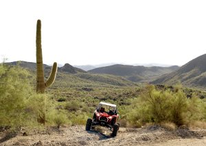 Things to do near Phoenix outdoors